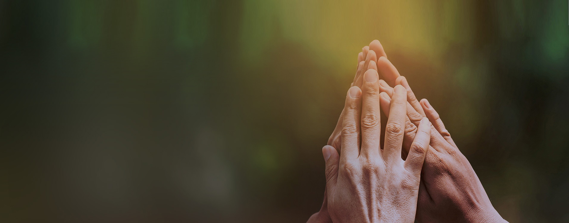 918.com(中国区)官方网站